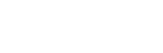 Apollo Partner
